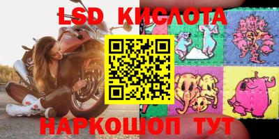 МДПВ Кингисепп