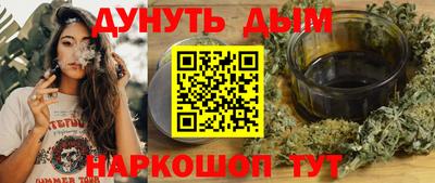 МДПВ Кингисепп