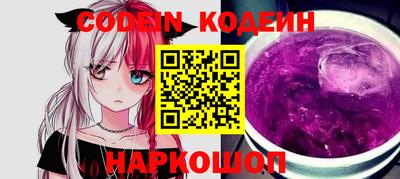 МДПВ Кингисепп