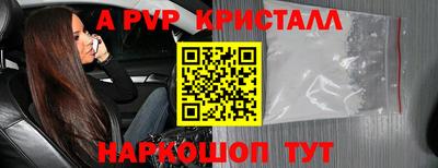 МДПВ Кингисепп