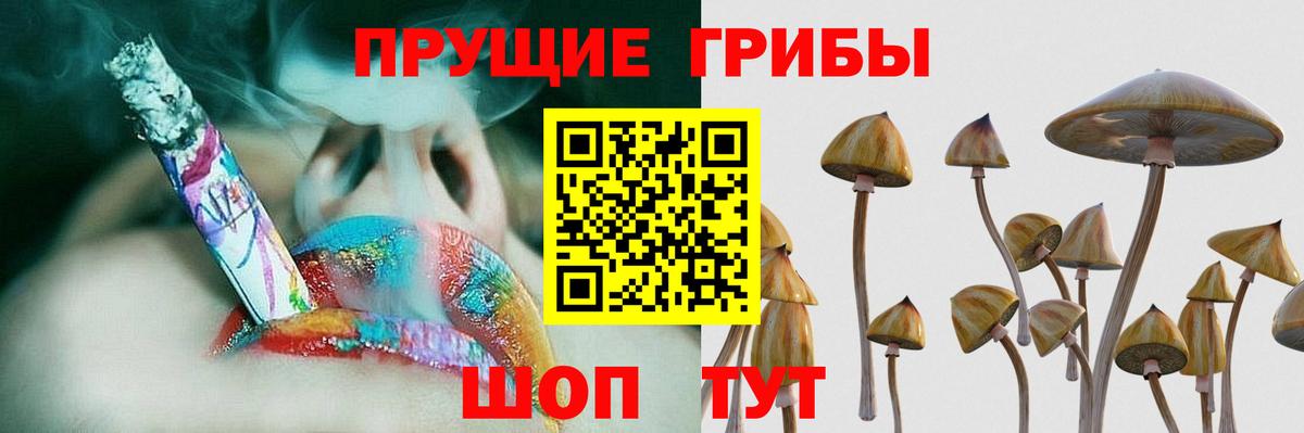 Псилоцибиновые грибы мицелий Кострома
